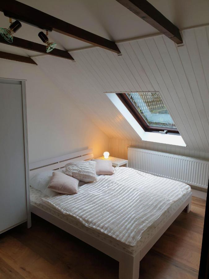 Saechsische-Schweiz-Ferienhaus-Wohnung-1-Mit-Elbblick-Sauna-Und-Kamin Konigstein an der Elbe Εξωτερικό φωτογραφία